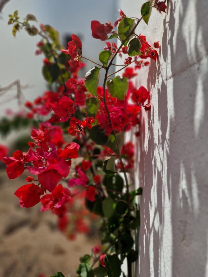 Casa Vivi Fuerteventura Apartment Corralejo Bagian luar foto